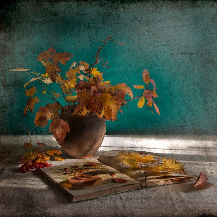 406162_481121085260279_1029313616_n