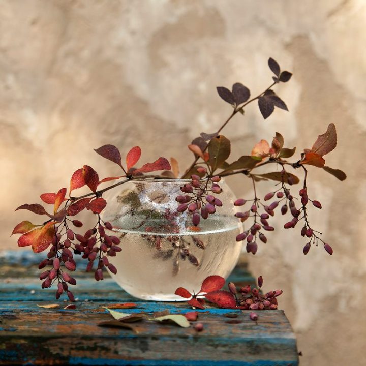 531336_481120685260319_2099714683_n