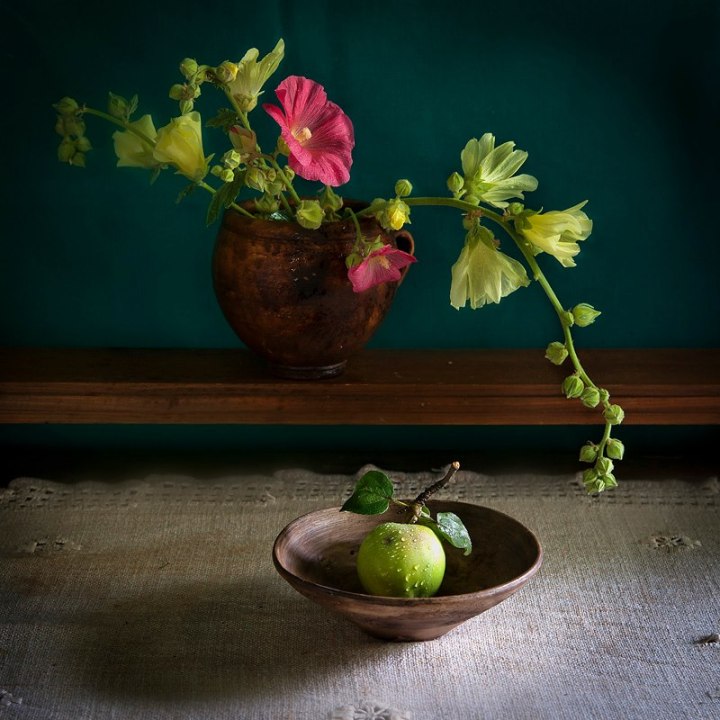 531339_481120671926987_17873132_n