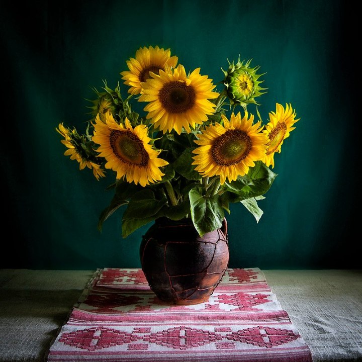 550991_481120655260322_1252487840_n