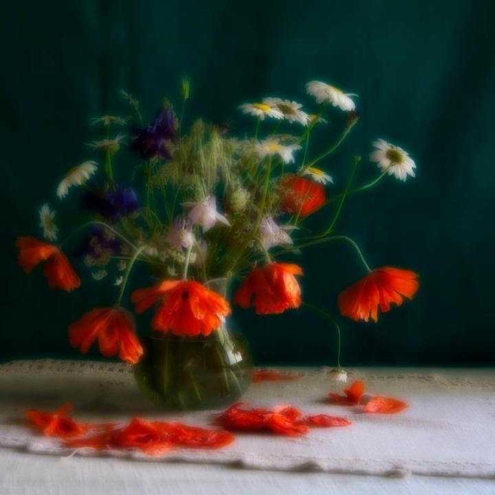 564908_481120131927041_1800873258_n