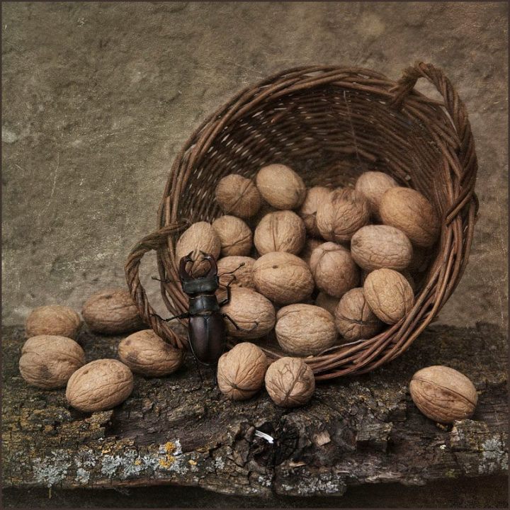 66443_481120148593706_1324900753_n