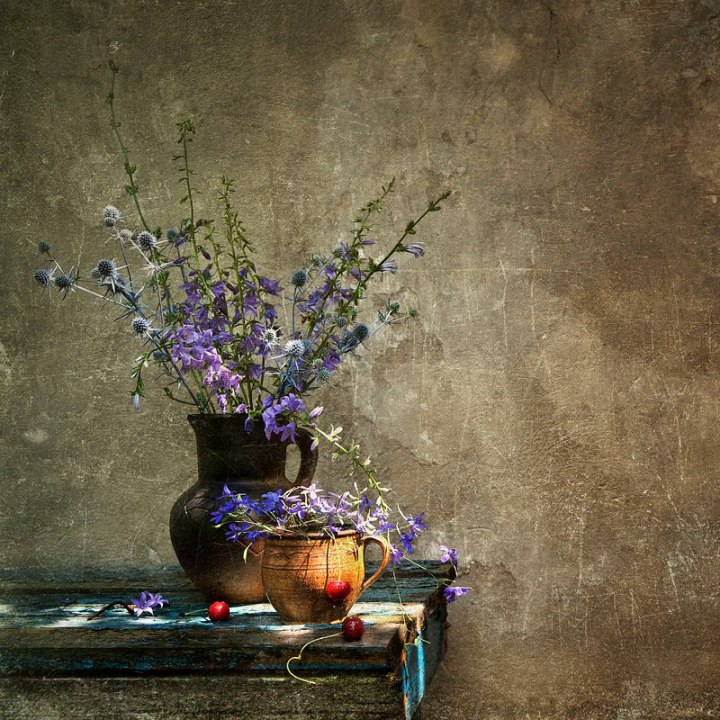 734198_481120675260320_187261670_n