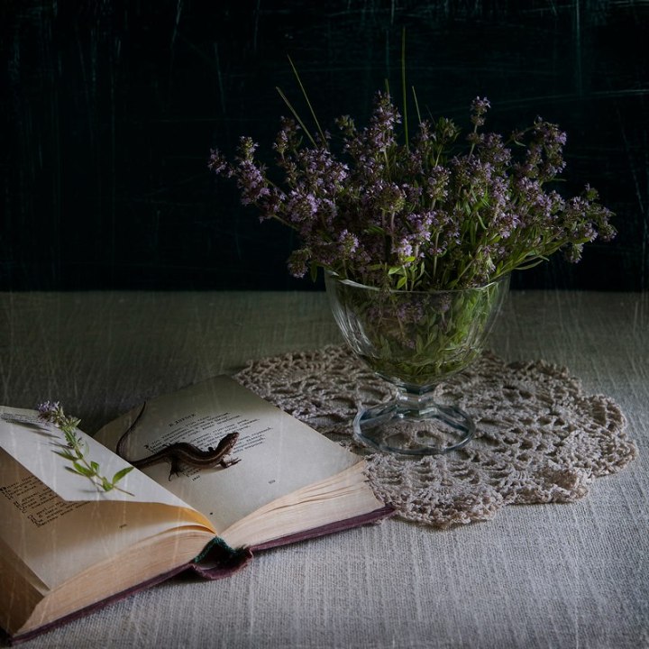 734786_481120595260328_970598163_n