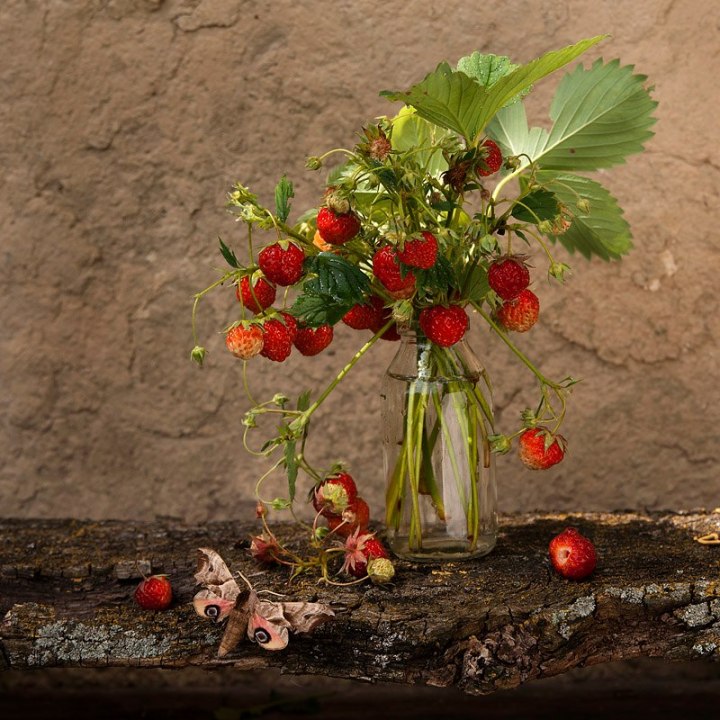 735162_481120605260327_1791180924_n