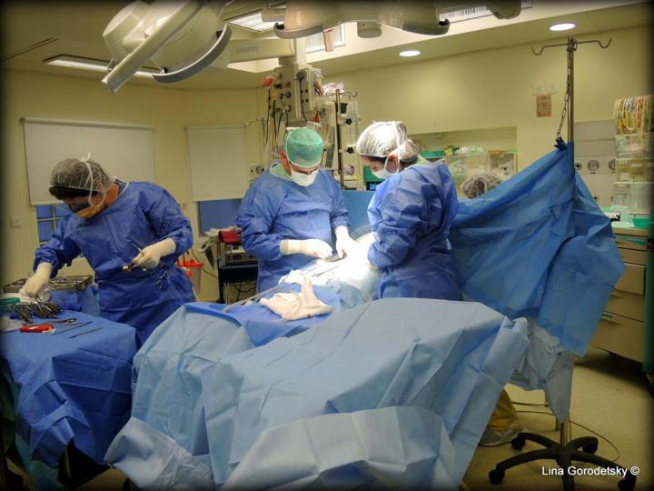 039-DSCN9906 (Medium)