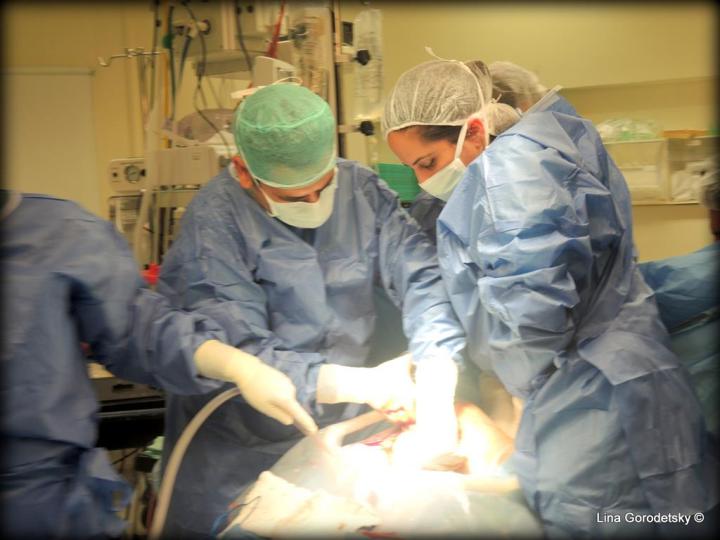 047-DSCN9914 (Medium)