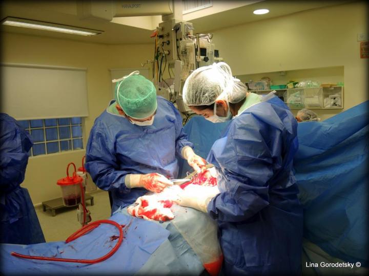 066-DSCN9934 (Medium)