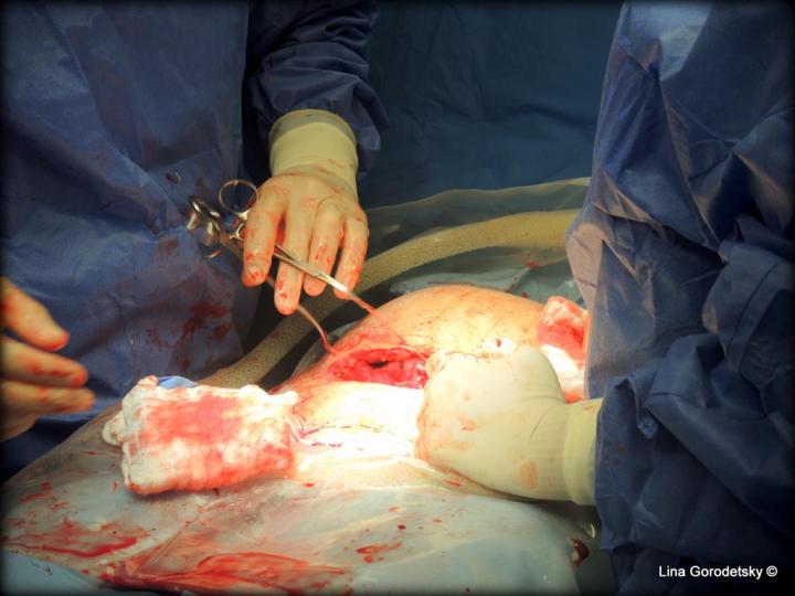 075-DSCN9943 (Medium)