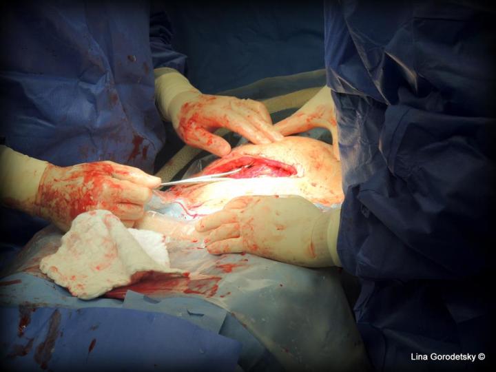 081-DSCN9949 (Medium)