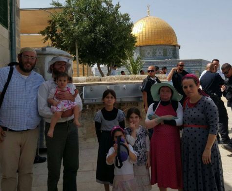 11289601_10201440043040719_3379923264807185646_o__w475h390q80