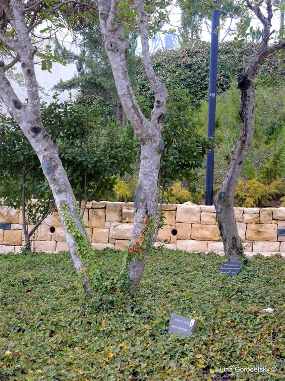 26-DSCN0431 (Medium)