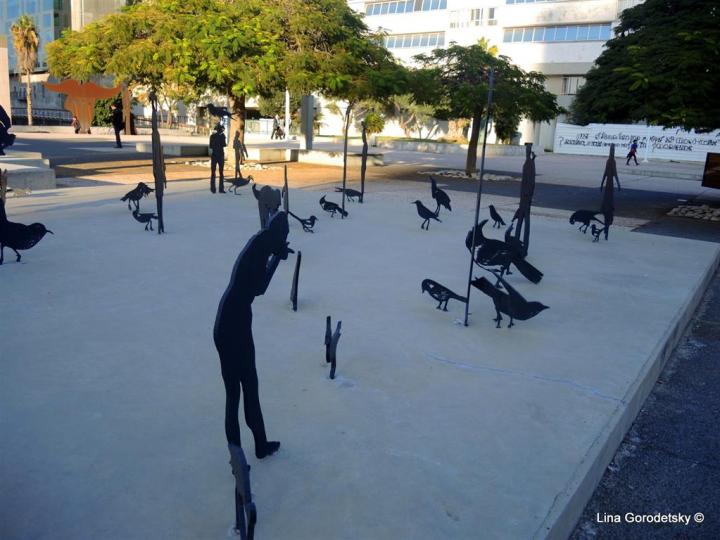 11-DSCN8761 (Medium)