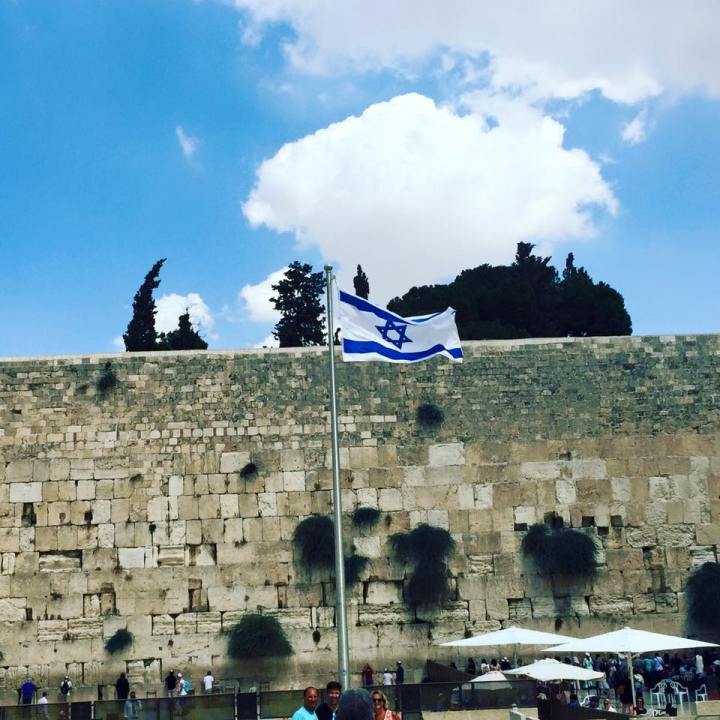 12036600_10206883092788254_5016841505077660286_n