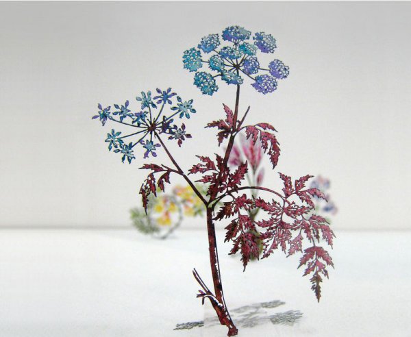 e8fd61b2662a7fe3862a172e58e27f9f