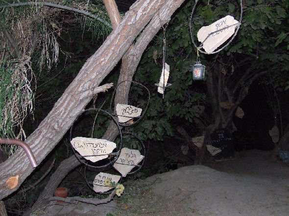 d285fb9174f023b98e535a2d38a81fe0