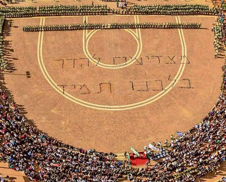 535112_1269883436373157_373771232858869922_n