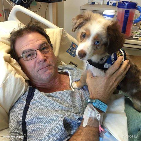 10845985_1592095087685759_6713573886415910901_n