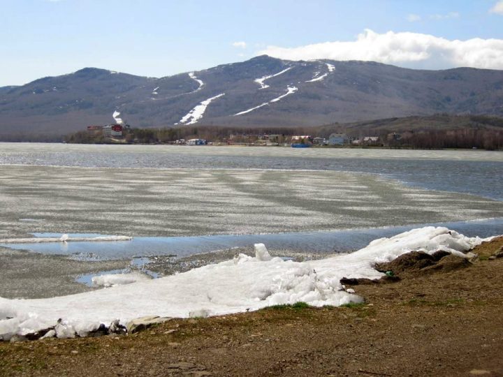 13062249_1012761728798954_3234779838719062594_n