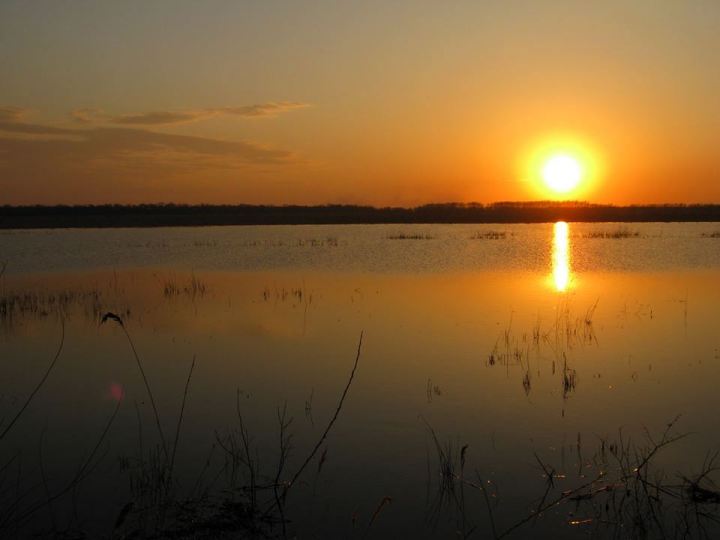 13094394_1012376885504105_2581110282656026346_n