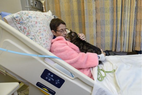 cuddles018a.jpg.size.xxlarge.promo