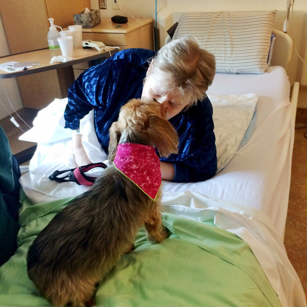 enhanced-17591-1448471885-1