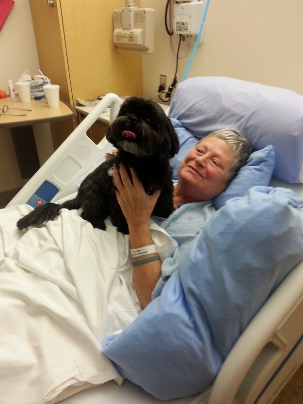 enhanced-5684-1448472033-10