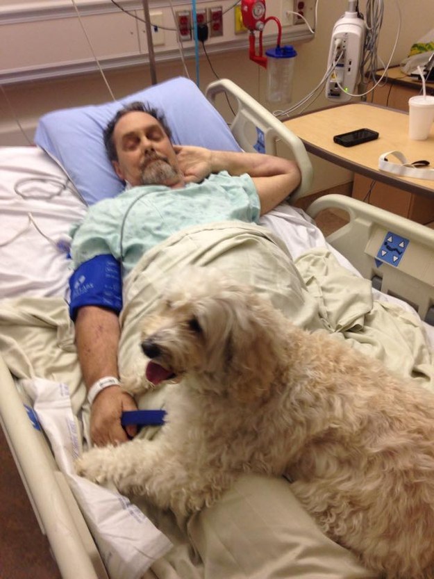 enhanced-7888-1448471990-6