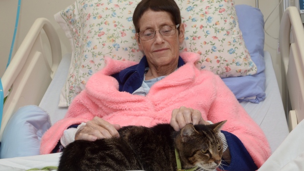 hospital-pet-visits-20151124