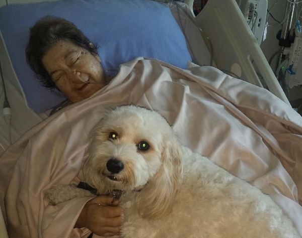 zpfh3-e1451329331673-600x474