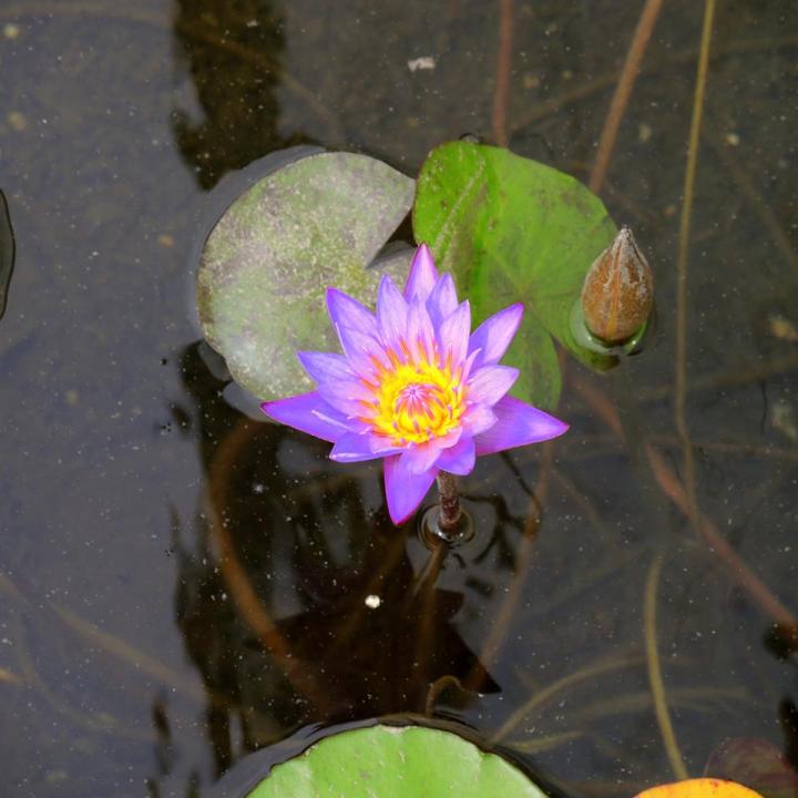 10369731_449506171851343_3929929095442774223_n