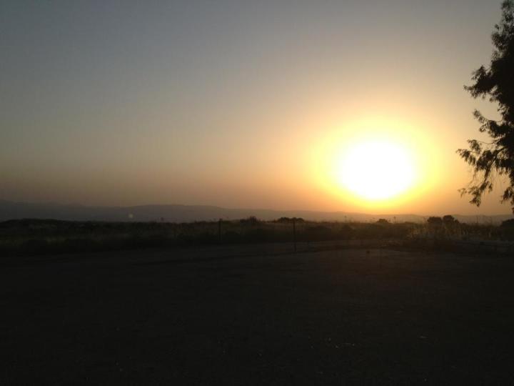 946894_10201293809286246_1739638660_n