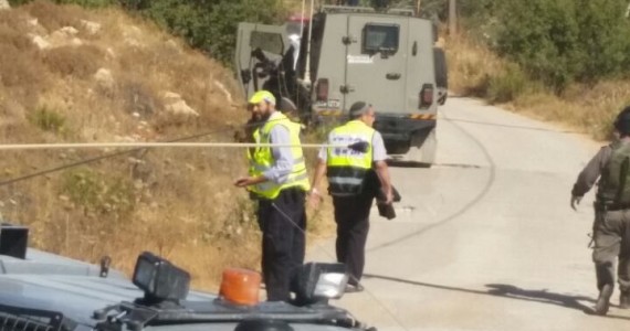 3606a138-51b1-4f50-917d-17a34f158a56-31rin2i8nqb3h9env64ah6