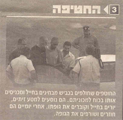 b3e996eb-e3a7-43ac-93a7-ac66501db0aa