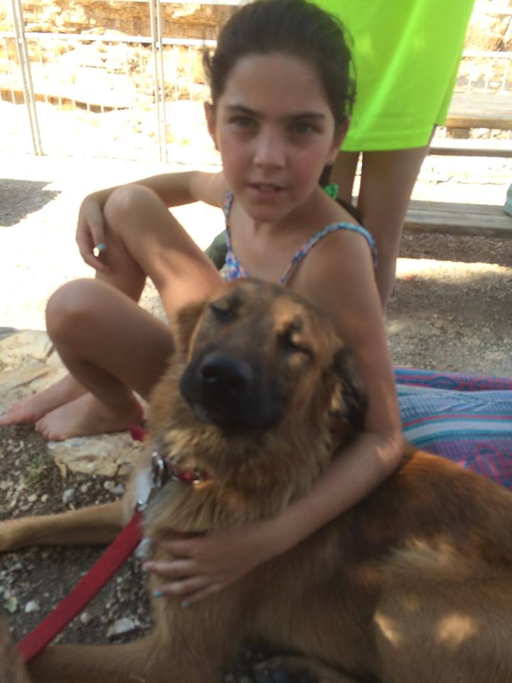 14633004_10154604809156532_3885438766021481383_n