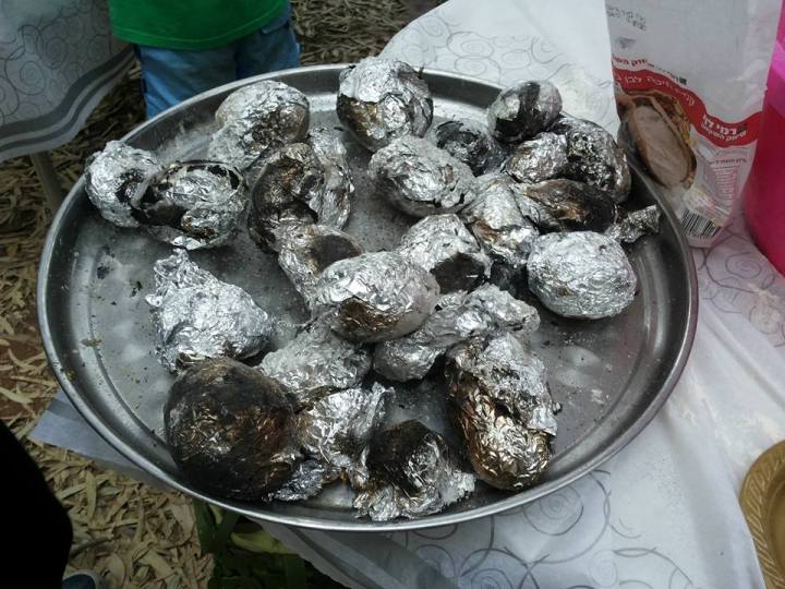 14721629_858664500935506_1242000641577438929_n