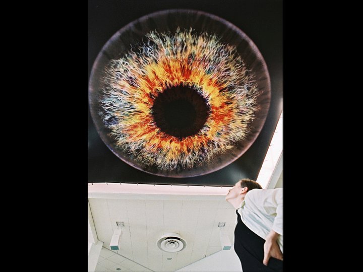 259879_130994053647724_3889854_n