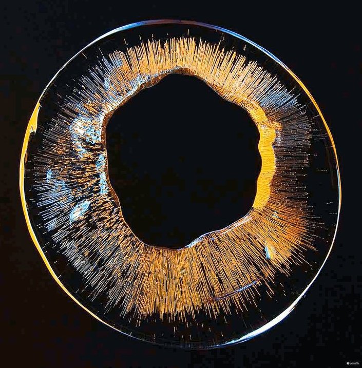 262086_136297843117345_7206573_n