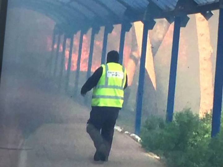 15178130_875110465957576_1385830620048131164_n