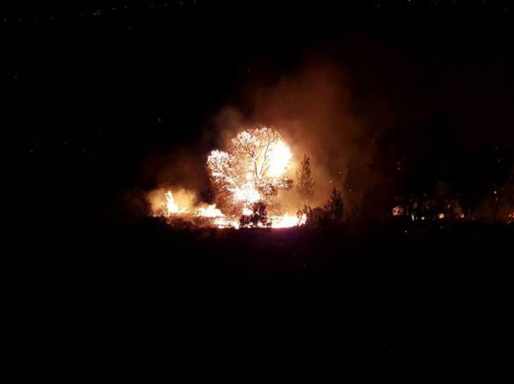 15192772_875112219290734_2291627941570200510_n-1