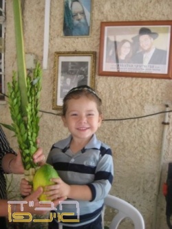 250px-%d7%9e%d7%95%d7%99%d7%a9%d7%99_%d7%94%d7%95%d7%9c%d7%a6%d7%91%d7%a8%d7%92