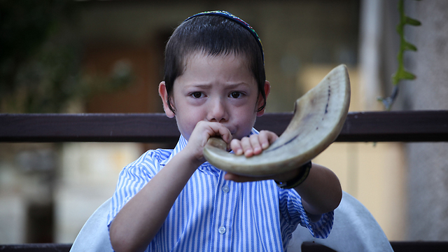 41219650100087640360no