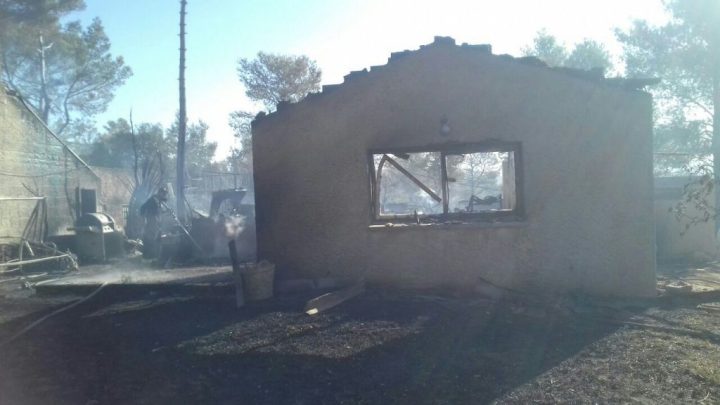 %d7%a0%d7%95%d7%95%d7%94-%d7%a6%d7%95%d7%a3-%d7%91%d7%90%d7%93%d7%99%d7%91%d7%95%d7%aa-%d7%94%d7%9e%d7%a6%d7%95%d7%9c%d7%9d-8-1024x576